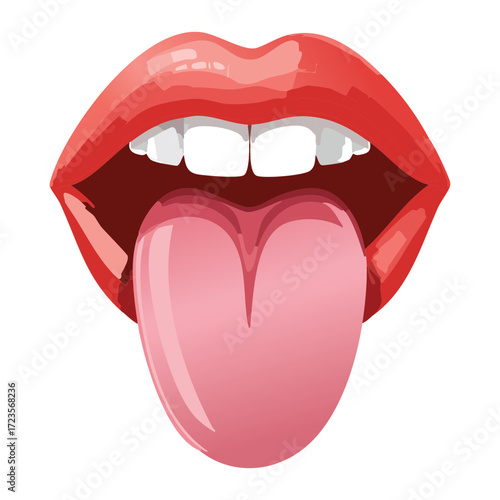 Simple Anterior View of the Tongue Showing Muscle Fibers and Surface Structure of the Organ	