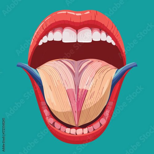 Underside of the Tongue with Vein and Artery Details Showing Sublingual Blood Vessel Network	