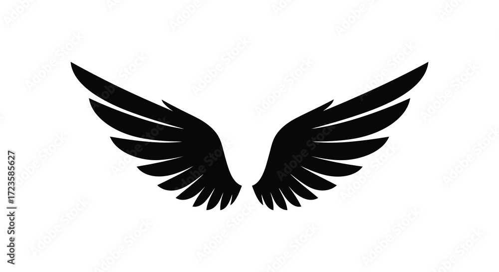 Obraz premium Detailed black wings spread wide against a plain white background silhouette