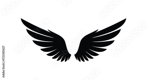 Detailed black wings spread wide against a plain white background silhouette