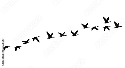 A flock of birds flying in a v formation silhouette