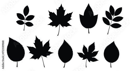 Collection of various leaf shapes presented as black silhouettes