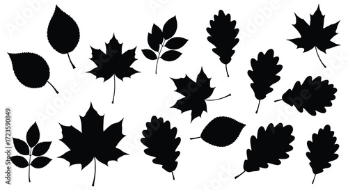 A collection of various autumn leaves depicted in black silhouette