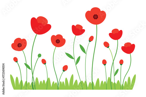 red poppies on green background vector