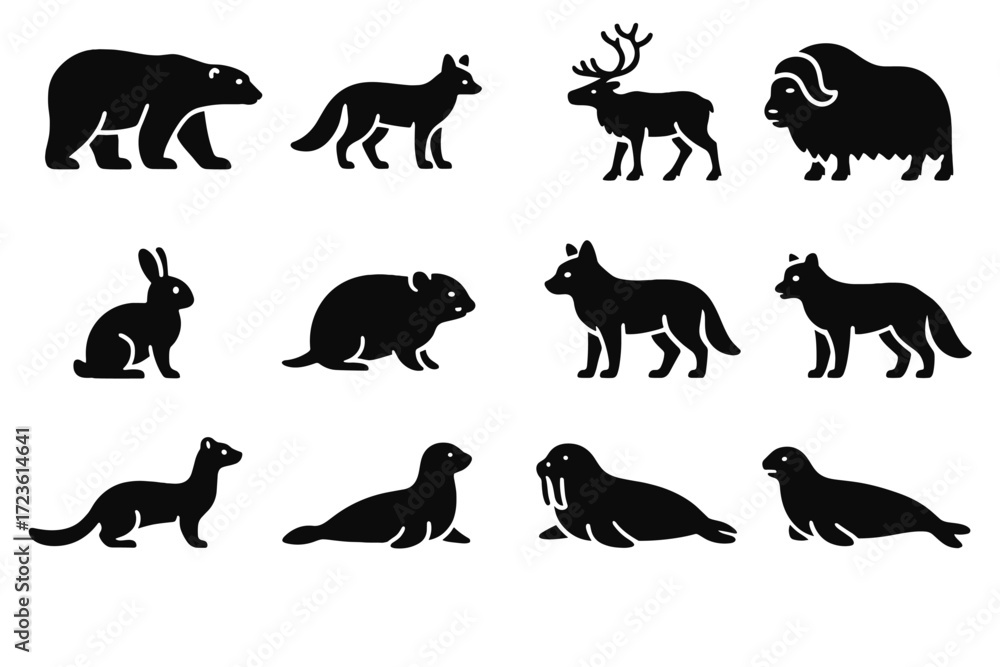 Obraz premium Arctic walrus ermine lemming vector wildlife musk ox hare whale icon