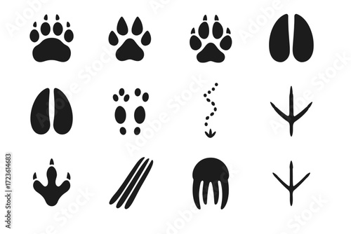 Track ox tracks arctic print icon hare ptarmigan wildlife seal vector walrus