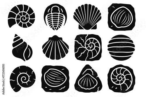 Brachiopod coil ammonite fossil shell trilobite vector icons icon imprint nautilus conch