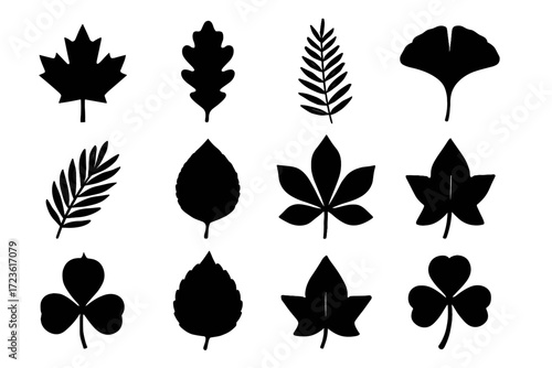 Flat vector leaf shape silhouette fan oak clover outline icons icon ginkgo