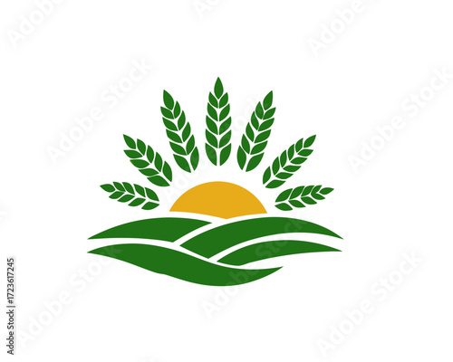 orange fruit with leaves