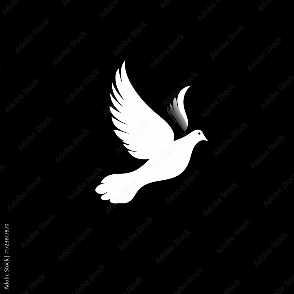 Fototapeta premium white dove flying in the sky