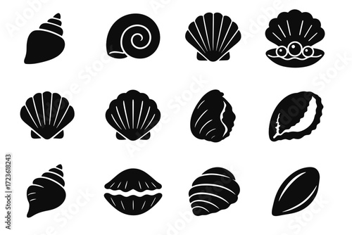 Polished icon bivalve cradle edge outline vector collection seashell ridged shell thick