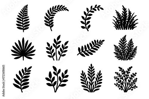 Pattern clustered leaf icon fan fern wild herbal plant crest undergrowth vector