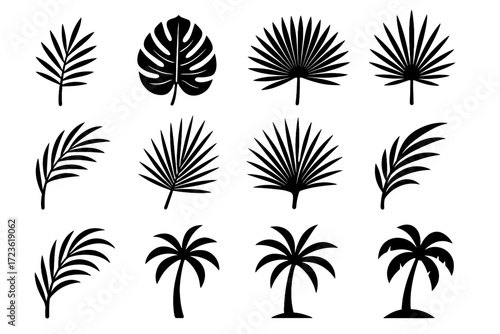 Minimalist blade edge tropical leaf icon palm linear vector sharp burst