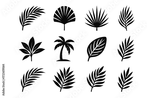 Spread single vector icon palm leaf minimal frond stylized veins