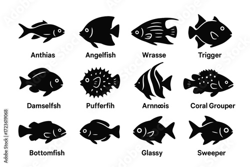 Motion fish unique wrasse pufferfish silhouette fin vector icon group reef