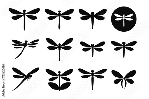 Vector dual silhouette shape icon wing wide insect icons dragonfly circle