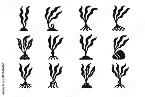 Grip kelp collection rocky variation root holdfast icons strand icon twisted vector