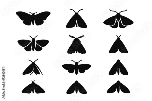 Minimal vector design form antennae spread outline perched icon icons silhouette moth