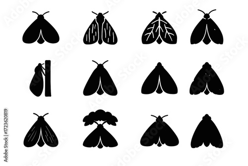 Shape mimicry forest under icons icon canopy bark moth form silhouette vector