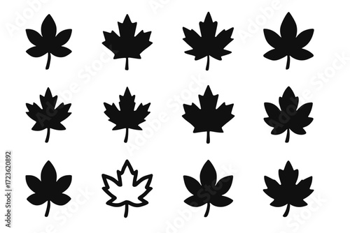 Tree seasonal foliage leaf vector long symmetrical symbol maple icon silhouette