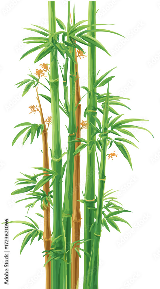 Fototapeta premium Vibrant green bamboo stalks illustration with lush leaves, evoking a serene natural Asian forest or garden on a white background