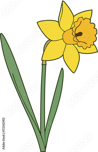 Bright yellow daffodil flower with a green leaf, signifying spring and Easter blossom