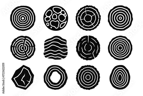 Stone trunk chip grain fossil segment icon icons vector polished slab wood