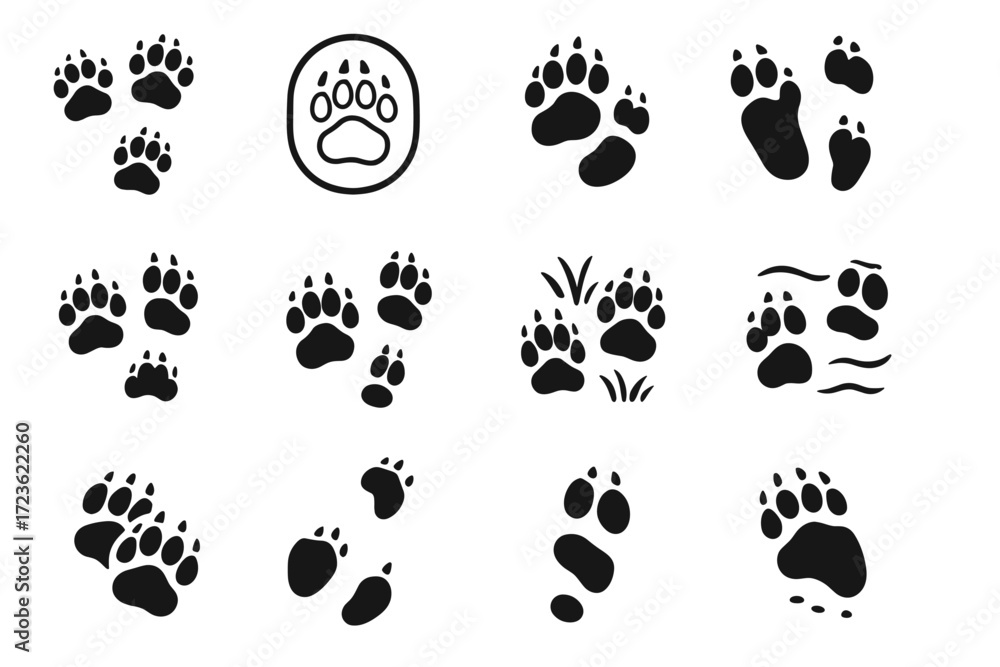 Fototapeta premium Bear icon track print prints dirt spread vector soft paw rear imprint