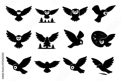 Curved owl wide tail vector wing view icon wings flight ground