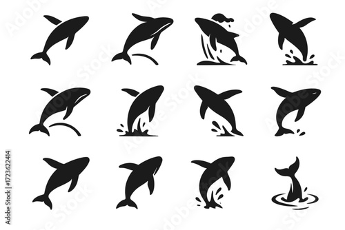 Icon vector tail sea wide arc whale curve blur stream collection push