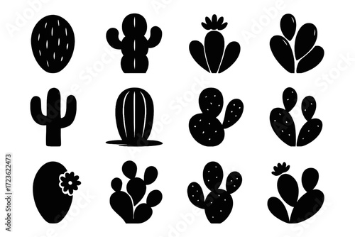 Central layout pads vector cactus silhouette botanical icon edge icons overlapping side