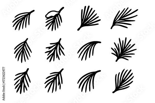 Shaped icon vector fanned natural end pine twig organic needles