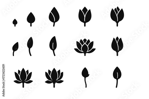 Icon lotus vector near bud motion vertical pod bloom closed