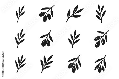 Growing vector olive stylized icon icons sprig stem upward twig branch five