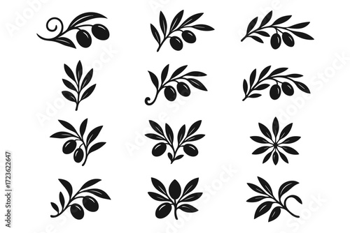 Elegant decorative olive leaf icon curled sprig olives icons curl vector stem