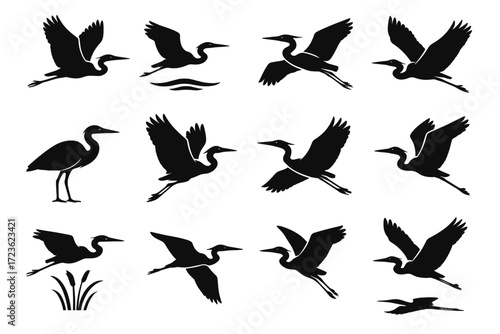 Icons off flight tucked turning glide neck vector heron view side icon