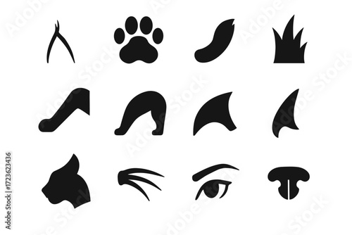 Icon shoulder whisker icons lynx tail fur vector curve nose anatomy edge