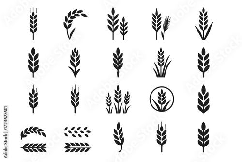 Curved wild icon vector form collection barley stylized stalk pair upright