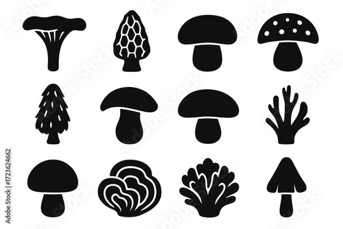 Boletes wild mane tail mushroom morel shape icon top form vector