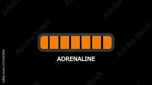 Progress bar. Hormone adrenaline growth indicator.