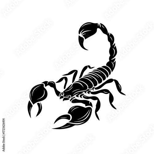 vector illustration of a black dragon