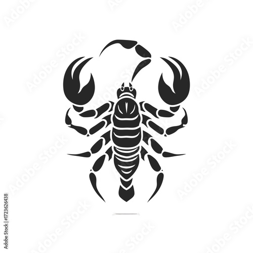 scorpion isolated on white