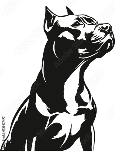 Wallpaper Mural black panther head Torontodigital.ca