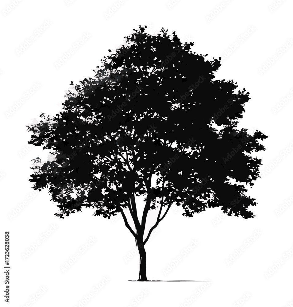 Fototapeta premium tree silhouette isolated on white