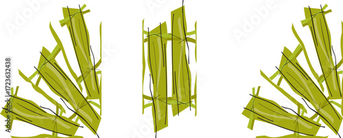 bamboo leaves isolated on white background