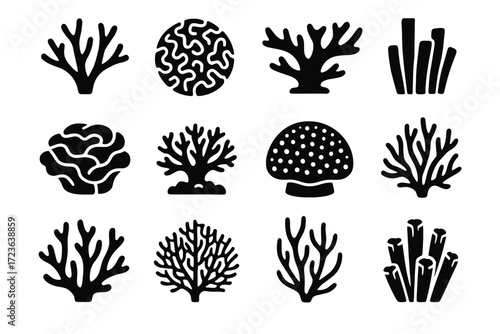 Fire staghorn fan icon coral elkhorn vector organ icons brain lettuce reef