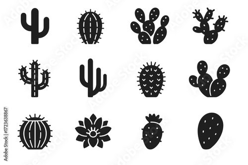 Fruit cactus organ saguaro vector pad icon flora desert pipe pear prickly