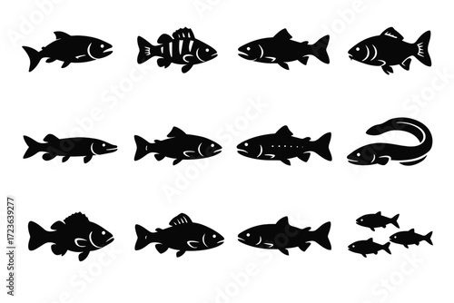 Fish icon vector tail freshwater icons body catfish river eel swimming fin
