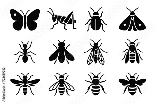 Glacier silhouette highland icon insect icons fly vector alpine snow butterfly ant