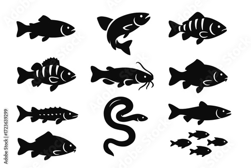 Armored carp icon vector shape tail curved fish shoal twisted river predator